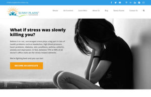 Sunny Plains Foundation